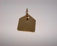 Dog paw ID tag Hous gold colour
